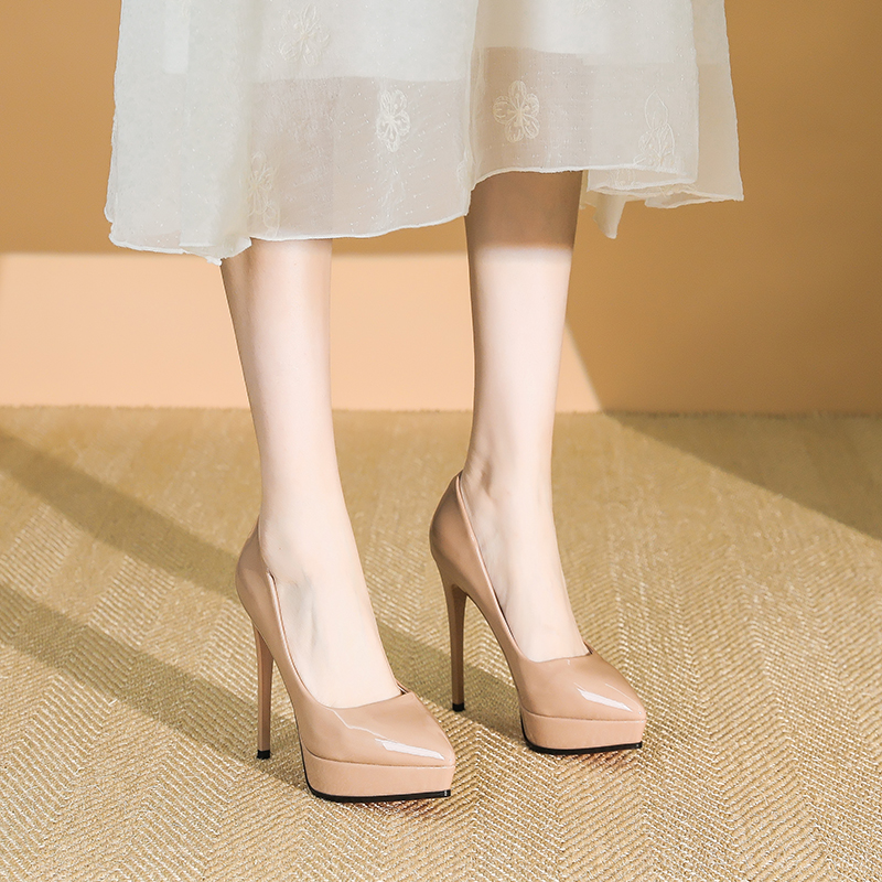 2025 Spring Women's Fashionable Stiletto High Heels 12CM Waterproof Platform Shoes for Elegant Style
