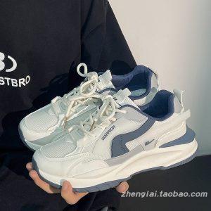 Men's Summer Mesh Dad Shoes - Versatile Soft Sole Breathable American Retro Sports Casual Footwear