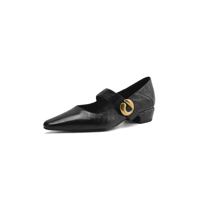 Vintage Mid-Heel Mary Jane Shoes for Women - 2025 Spring Summer Lambskin Chunky Heel Flats, Pointed Toe, Shallow Mouth Design